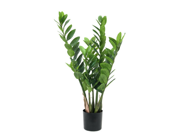 Zamifolia, artificial plant, 70cm