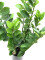 Zamifolia, artificial plant, 70cm