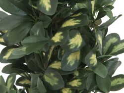 Schefflera, artificial,120cm