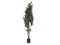 Schefflera, artificial,120cm