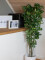 Schefflera, artificial,120cm