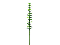 Crystal eucalyptus, artificial plant, green 81cm 12x