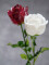 Crystal rose, burgundy, artificial flower, 81cm 12x