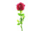 Crystal rose, burgundy, artificial flower, 81cm 12x