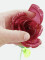 Crystal rose, burgundy, artificial flower, 81cm 12x