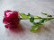 Crystal rose, burgundy, artificial flower, 81cm 12x