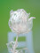Crystal rose, clear, artificial flower, 81cm 12x