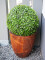 Boxwood ball, artificial, ~25cm