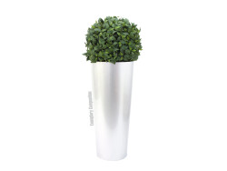 LEICHTSIN ELEGANCE-69, shiny-white