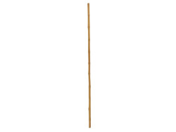 Bamboo tube, Ø=3cm, 200cm