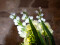 Arum set, 3 branches with LEDs white 85cm