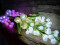 Arum set, 3 branches with LEDs white 85cm