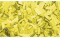 Show Confetti Rectangle 55 x 17mm Yellow 1 kg