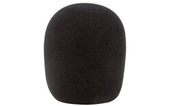 DWB-01 Windscreen