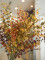 Eucalyptus spray, artificial, yellow-green, 110cm