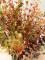 Eucalyptus spray, artificial, yellow-green, 110cm