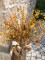 Eucalyptus spray, artificial, yellow-green, 110cm
