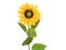 Sunflower, artificial plant, 70cm
