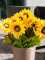 Sunflower, artificial plant, 70cm