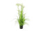 Star Grass artificial, 120cm