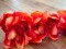 Cymbidium branch, artificial, red, 90cm