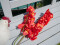 Cymbidium branch, artificial, red, 90cm