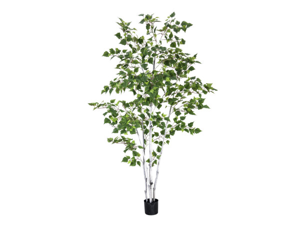 Birch Tree, artificial plant, 210cm