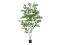 Birch Tree, artificial plant, 210cm