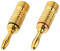 LS-Bananenstecker-Paar Gold rot-schwarz d:4mm