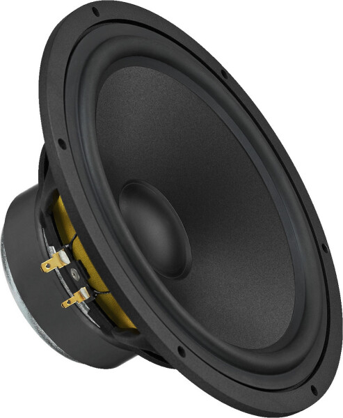 High-Quality-Hi-Fi-Tieftöner, 100 Wrms, 8 Ohm