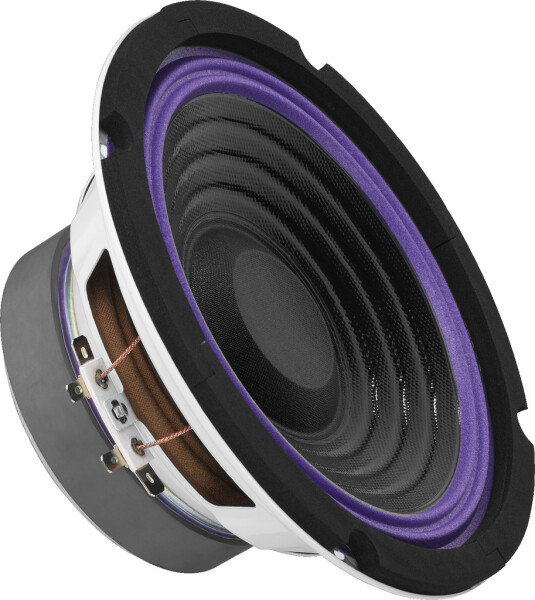 Car-Hi-Fi-Tiefmitteltoener, 100W, 4 Ohm