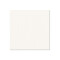 0491 G - Birch Plywood Plastic-Coated with Stabilising Foil white 9.4 mm