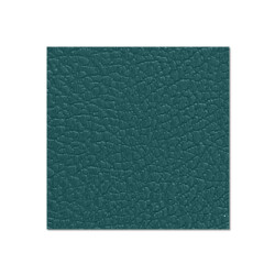 0494 G - Compensato di betulla rivestito in plastica con...