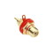 7635 RED - Presa RCA dorata rossa