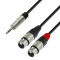 4 STAR YWFF 0300 - Y-Cable | Rean® 2 XLR Female x Minijack TRS | 3 m