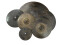DBHR-822 Cymbal 22-Ride