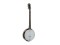 BJ-30 Banjo, 6-string