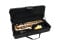 SP-30 Eb Alto Saxophone, gold