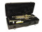 TP-10 B-Trompete, gold