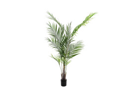 Areca palm with big leaves, artificial plant, 165cm