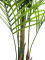 Areca palm with big leaves, artificial plant, 165cm