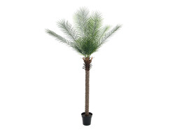 Phönix Palme deluxe, Kunstpflanze 220cm