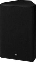 ELA-Lautsprecher,100V,50W,schwarz