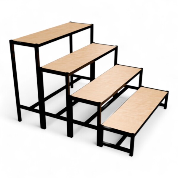 Noleggio: scala con 4 gradini (100cmx30cm, inclinazione 20cm)