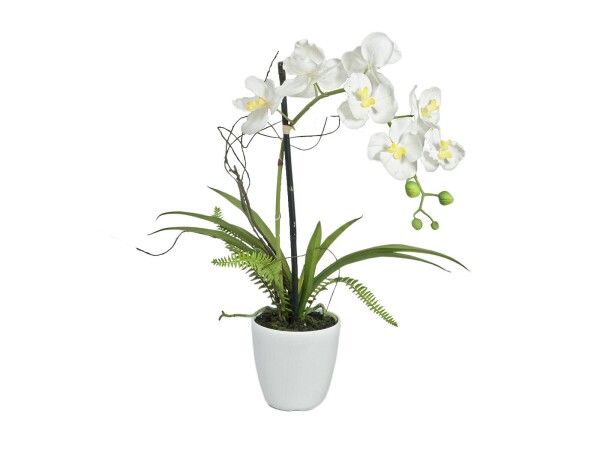 Orchid arrangement 1, artificial