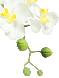 Orchideen-Arrangement 1, künstlich