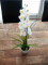 Orchid arrangement 1, artificial