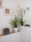 Orchid arrangement 1, artificial