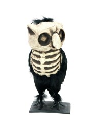 Eule Horror
