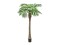 Phoenix palm tree luxor, artificial plant, 210cm